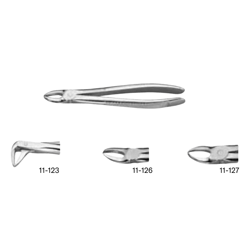 SD FORCEP PL PARA ADULTOS # 75 ANTERIORES INF.
