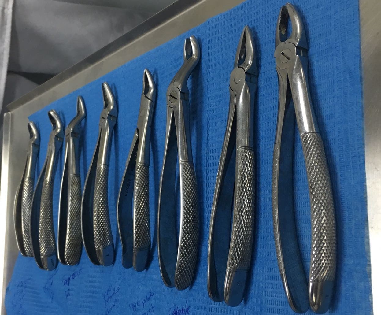 SD FORCEP PL PARA NIÑOS # 562 RAICES SUPERI