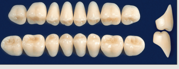 NS ULTRADENT MOLD.33L COL. 67 IP